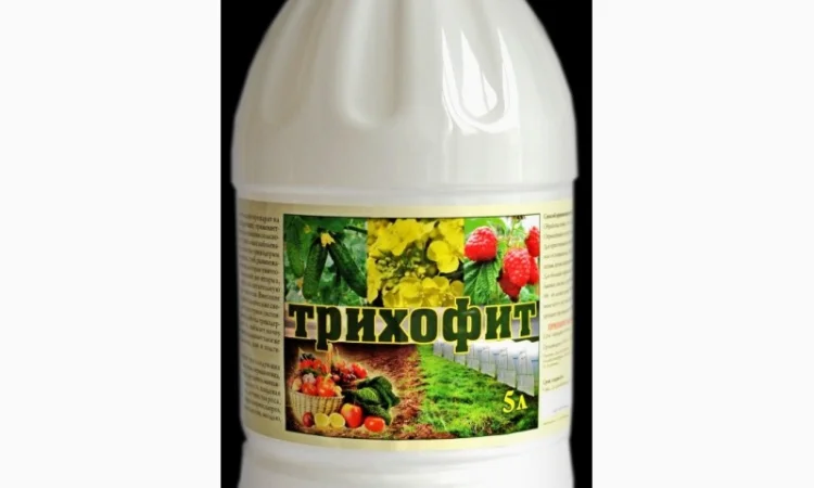 Трихофит (триходермин) фунгицид от грибковых болезней - фото № 1