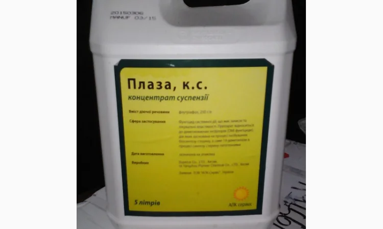 Імпакт(Плаза) - фото № 1