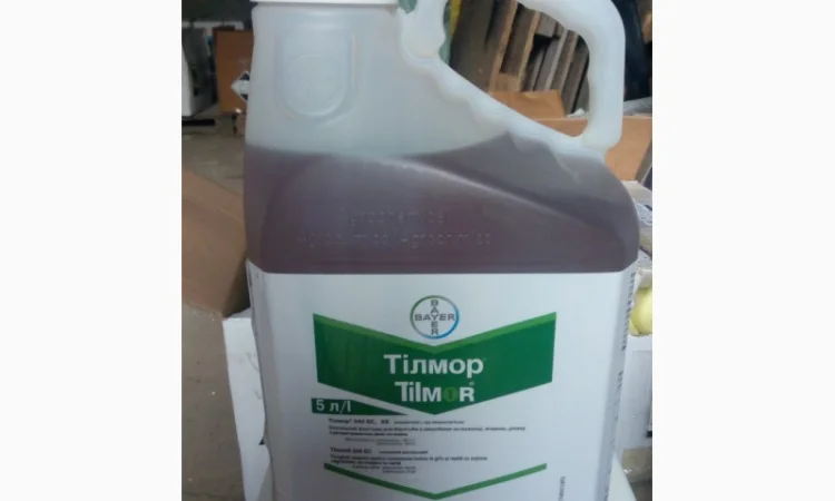 Тілмор к.є - фото № 1