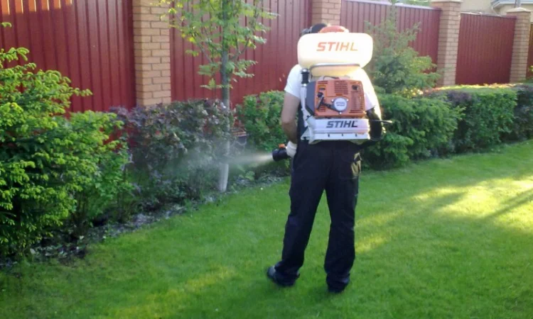 Подготовка участка к зиме:Услуги садовника - фото № 1