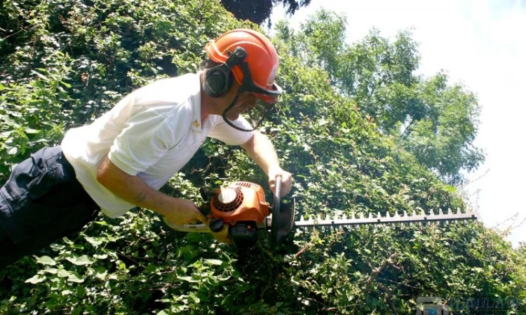 Подготовка участка к зиме:Услуги садовника - фото № 10