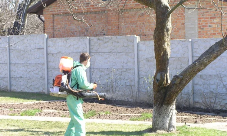 Подготовка участка к зиме:Услуги садовника - фото № 11