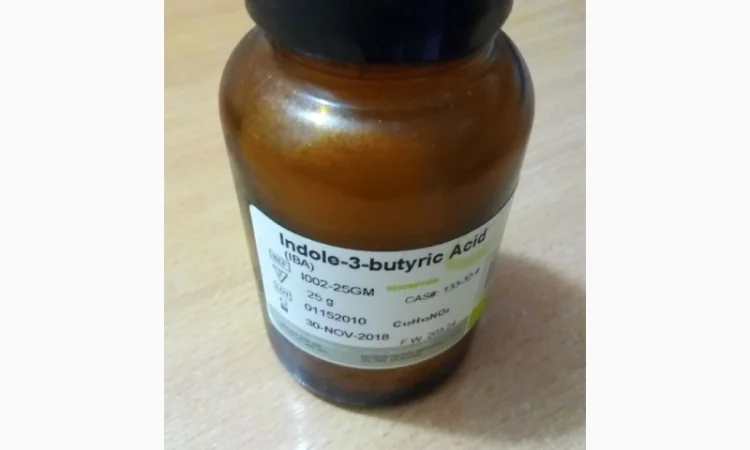 Продается индолил-3-масляная кислота для стимуляции корнеобразования - фото № 1