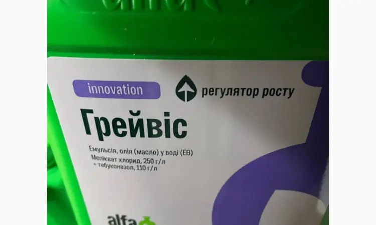 Грейвіс - регулятор росту та системний фунгіцид-ретардант для ріпаку - фото № 2