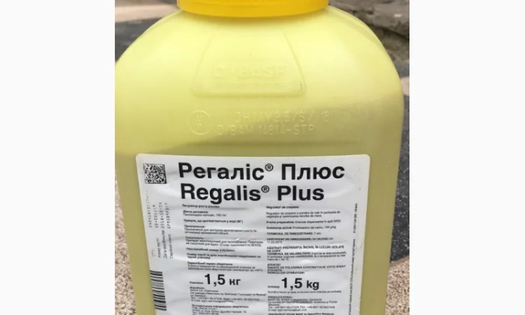 Регалиc Плюс – эффективный регулятор роста и урожайности садов - фото № 2