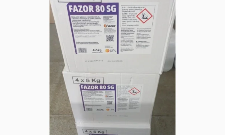 Фазор - регулятор росту для цибулі та картоплі - фото № 2