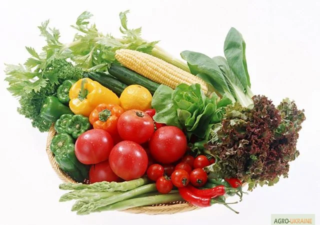 Гиббереллин Гетероауксин Брассинолид Кинетин 6-БАП Индолилмаслянная Нафтилуксусная к-та - фото № 3