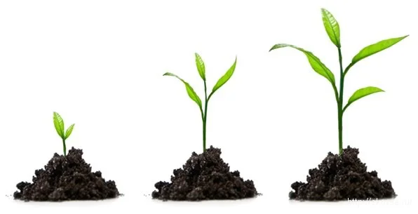 Биостимулятор роста Asahi SL (Асахи) 1л из Польши - фото № 2