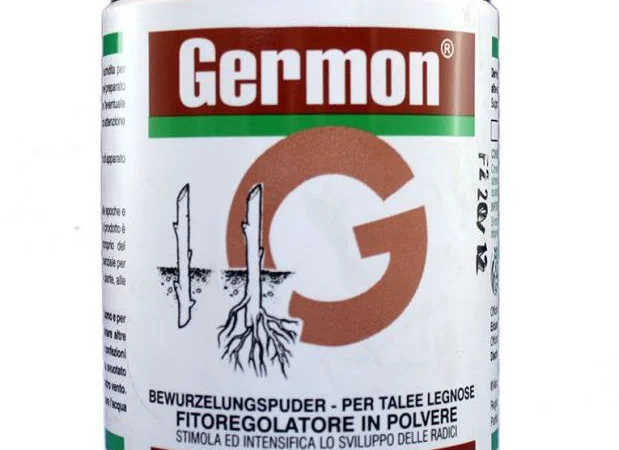 Germon 75% (Жермон) 100г - стимулятор роста для укоренения черенков древесных пород - фото № 1
