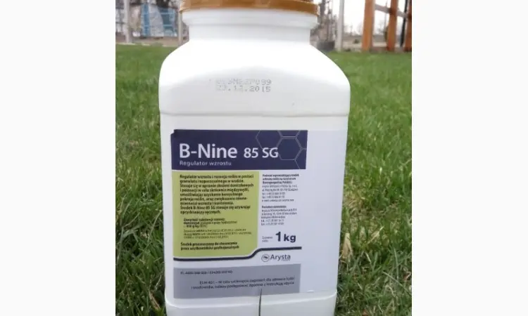 Регулятор роста Бі Найн B-Nine 85 SG для хризантем (Польща) - фото № 1
