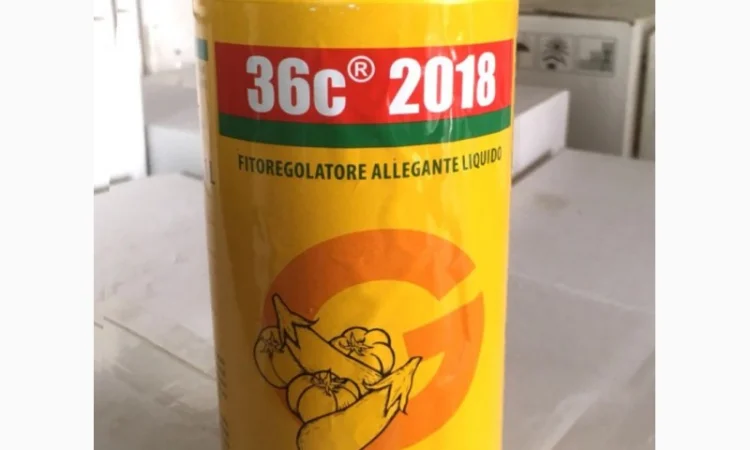 Регулятор роста 36С TIPO B (тип Б) 1л – для завязи плодов (Италия) - фото № 1