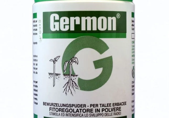 Germon 50% (Жермон) 100г - стимулятор роста для укоренения черенков - фото № 1