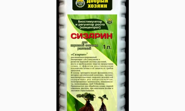 Сизарин - стимулятор роста, корнеобразователь, антидепрессант - фото № 1