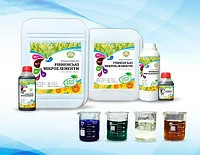 Повышает иммунитет растений к заболеваниям, заморозков и засухи - фото № 1