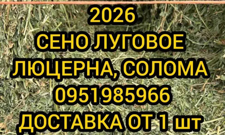 Сено солома для фотосесії декора в тюках мешках з доставкою від 1шт - фото № 1