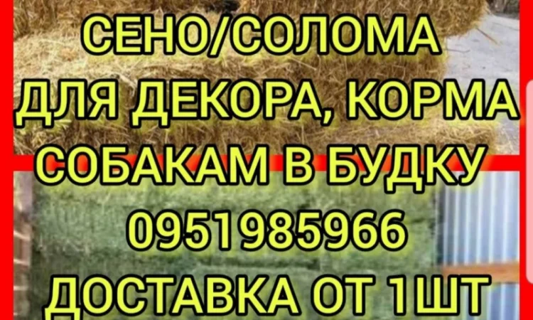 Хозяйство предлагает сено луговое, солому, люцерну, солому с доставкой по Украине - фото № 1
