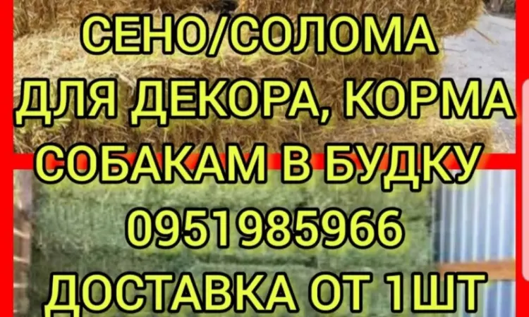 Хозяйство пропонує сіно лугове, солому, люцерну, солому з доставкою по Україні - фото № 1