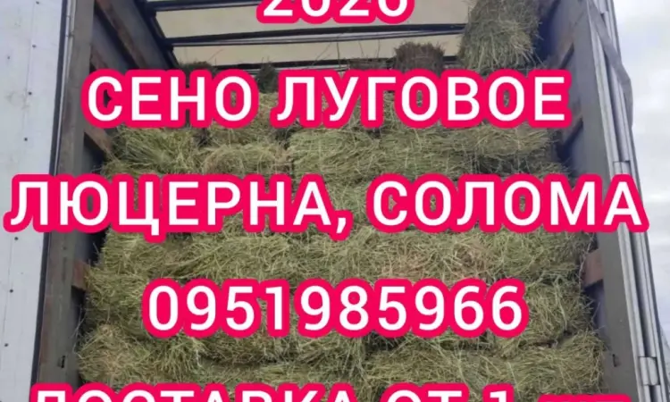Хозяйство пропонує сіно лугове, солому, люцерну, солому з доставкою по Україні - фото № 1