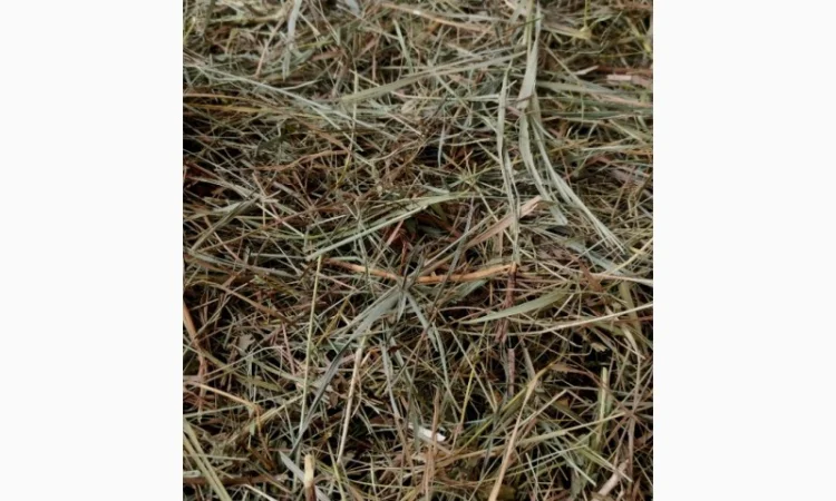 Сіно в тюках лугове, люцерна - фото № 1