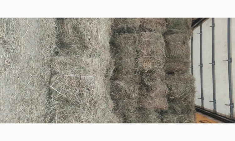 Сіно в тюках лугове, люцерна - фото № 3