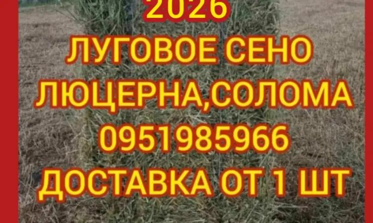 Сено в тюках. Доставка входит в стоимость. Отличное качество - фото № 1