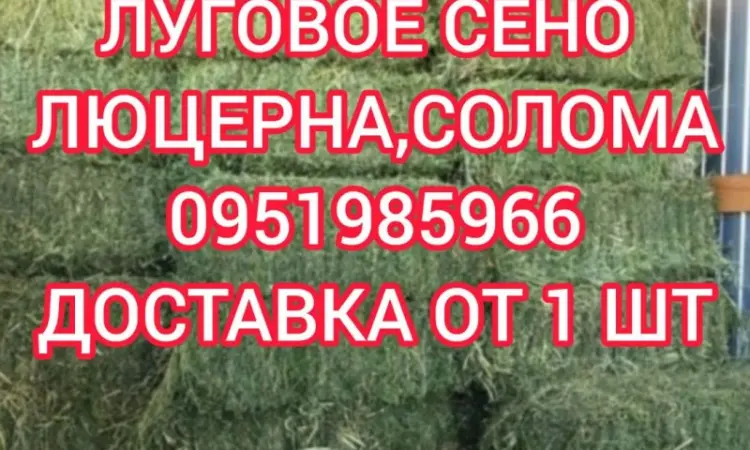 Б.н. розрахунок, великі обсяги, доставка по Україні. Лугове сіно, люцерна, солома - фото № 1