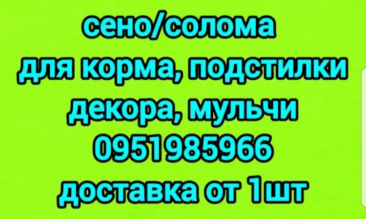СЕНО различных видов. Доставка. Объёмы. Есть безналичный расчёт - фото № 1