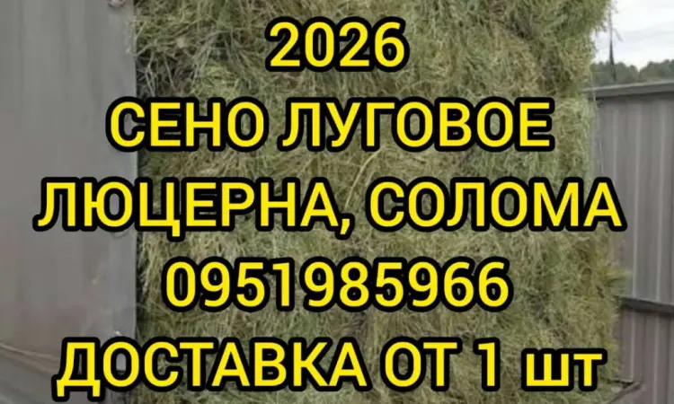 СІНО різних видів. Доставка. Об’єми. Є безготівковий розрахунок - фото № 1