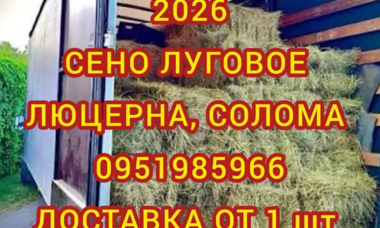 Лугове сіно. Люцерна в тюках. Доставка. Б/н - фото № 1