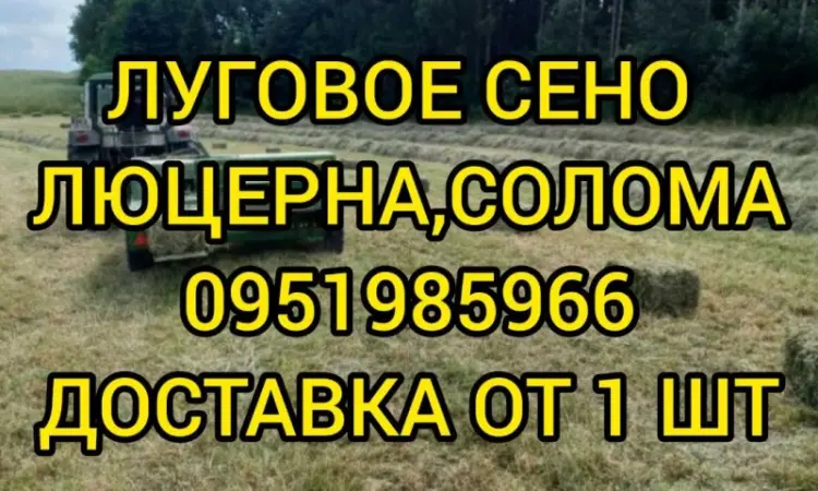 Сіно лугове, люцерна, солома. Доставка входить у вартість - фото № 1