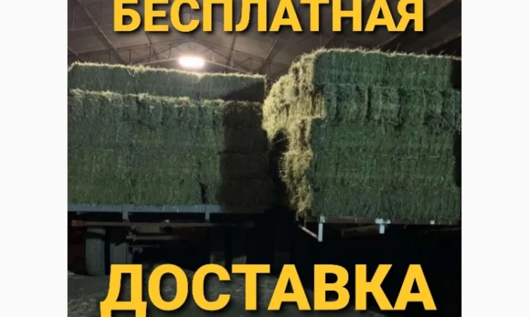 Продам ЛУГОВОЕ сено и ЛЮЦЕРНУ в тюках с доставкой по Украине - фото № 4