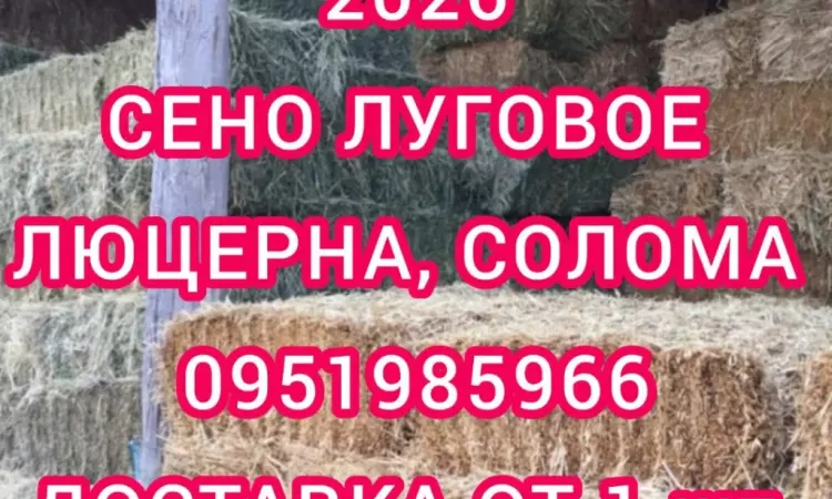 Продам ЛУГОВЕ сіно і ЛЮЦЕРНУ в тюках з доставкою по Україні - фото № 1