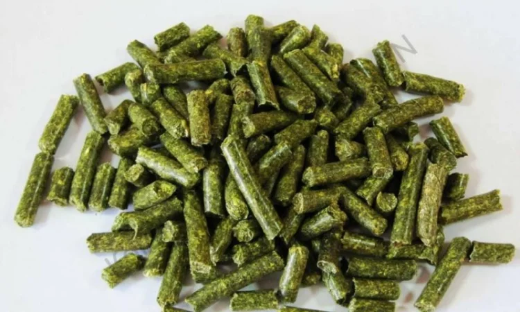 Польская фирма AgroTorg Sp. z o.o. закупает люцерну гранулированную на ЭКСПОРТ - фото № 1