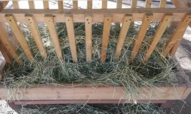 Поштучная и оптовая продажа сена соломы в тюках мешках с доставкой на дом - фото № 2