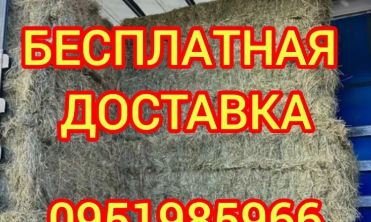 Поштучная и оптовая продажа сена соломы в тюках мешках с доставкой на дом - фото № 3