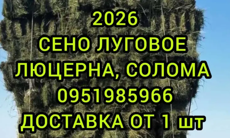 На подстилку собакам в будку сено солома в тюках мешках, доставка от 1 шт, сіно для корма - фото № 1