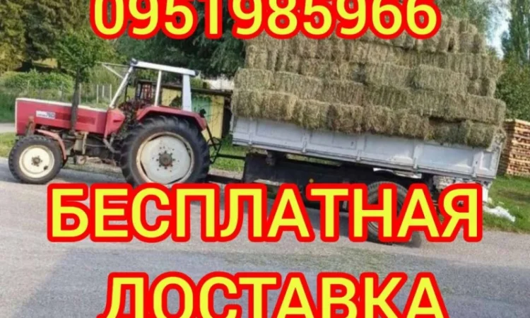 Продажа сена для лошадей, овец, коз, КРС с доставкой - фото № 1