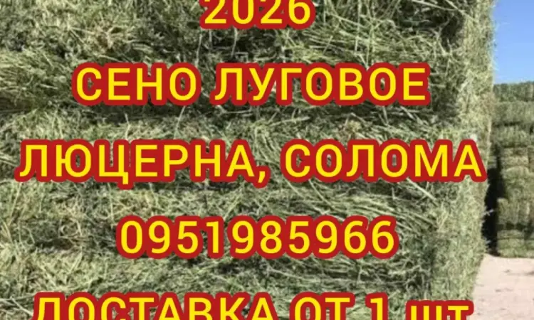 Оптова продажа лугового сена, люцерны с доставкой по Украине - фото № 1