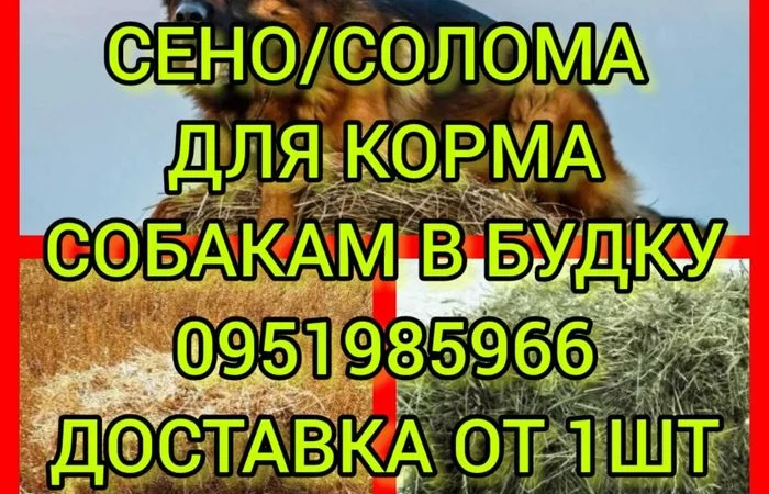 Сено солома в тюках мешках для корма, на подстилку, декора - фото № 1