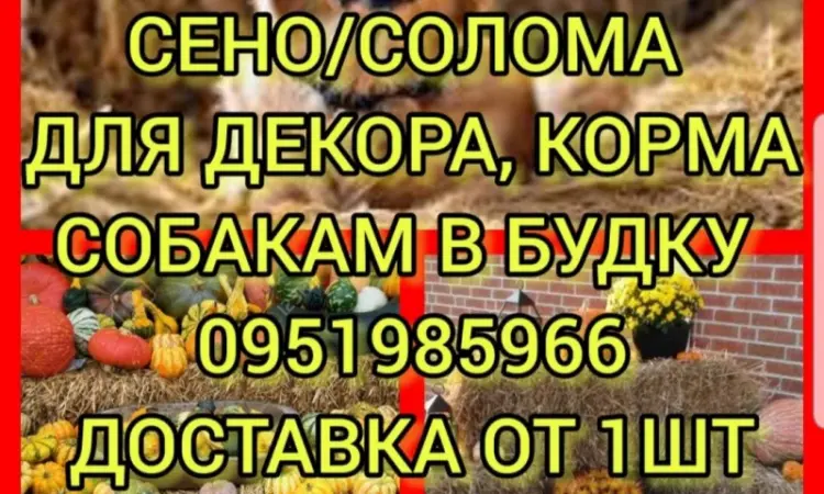 Люцерна, лугове сіно, солома в тюках мішках. Доставка. Обсяги - фото № 1