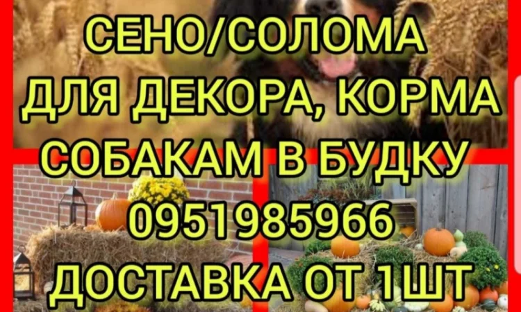 Сено в тюках мешках, солома в тюках мешках. Для корма, на подстилку - фото № 1