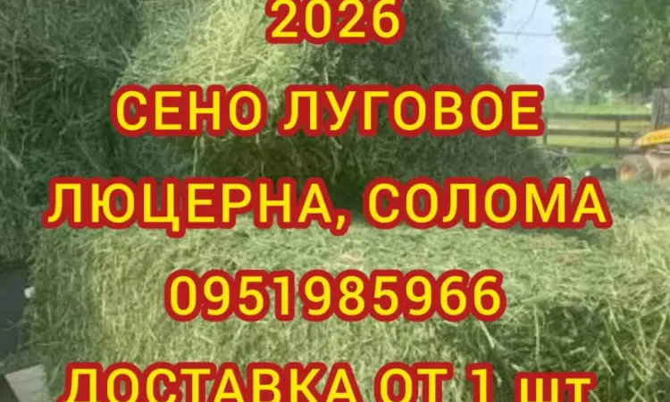 Сено в тюках мешках, солома в тюках мешках. Для корма, на подстилку - фото № 1