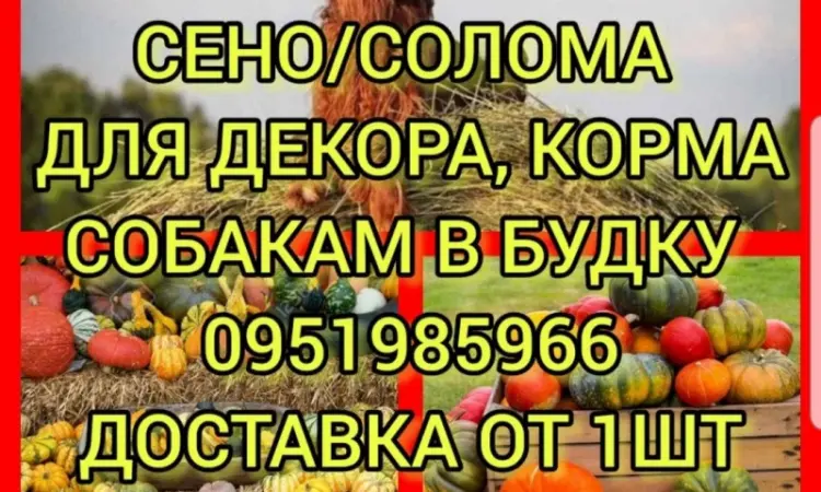 Безкоштовна доставка по Україні. Лугове, люцерна, солома в тюках мішках - фото № 1