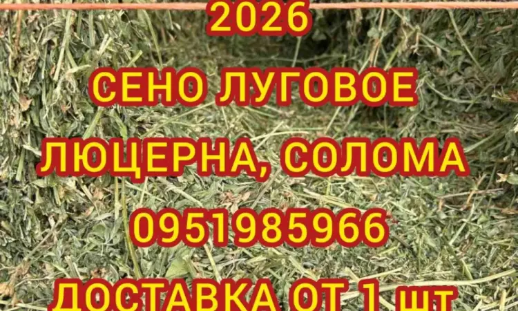Безкоштовна доставка по Україні. Лугове, люцерна, солома в тюках мішках - фото № 1