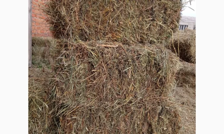 Продам тюковане сіно різнотрав'я - фото № 2
