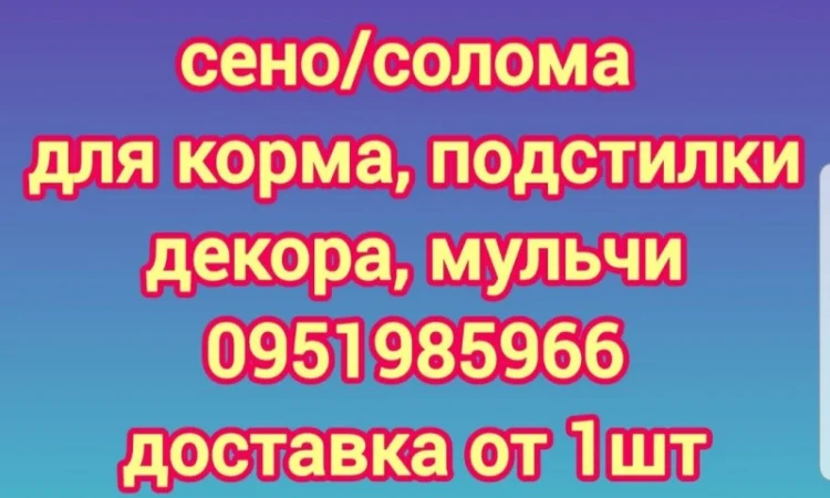 Бесплатная доставка СЕНА в тюках мешках, соломы пшеничной, ячневой - фото № 1