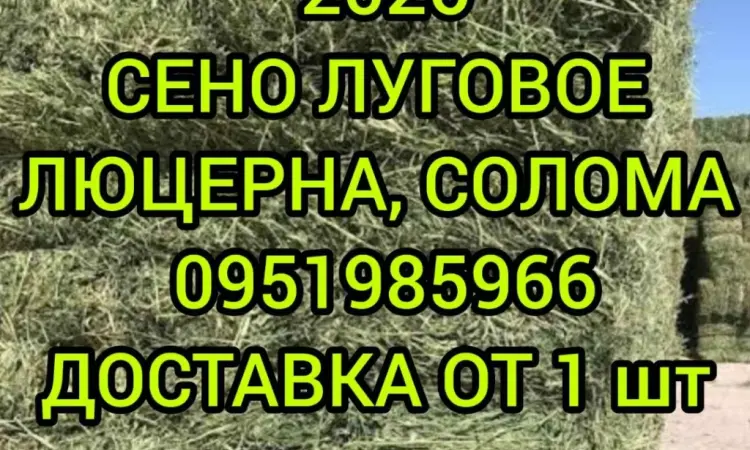 Безкоштовна доставка СЕНА в тюках мішках, соломи пшеничної, ячневої - фото № 1