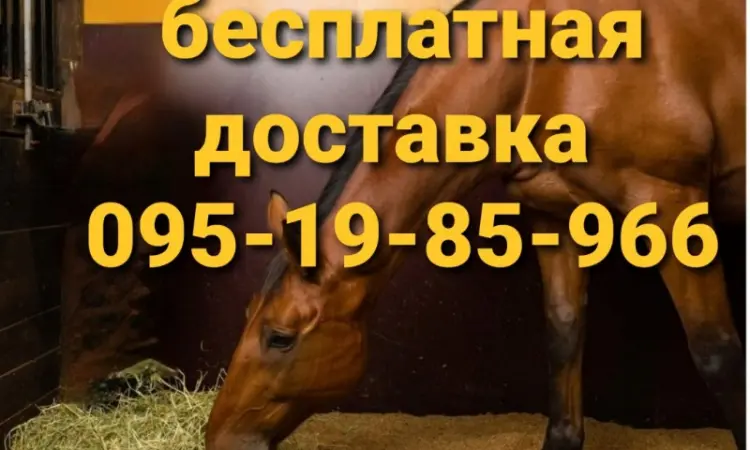 БЕЗКОШТОВНА доставка сіна лугового, люцерни, соломи в тюках - фото № 3