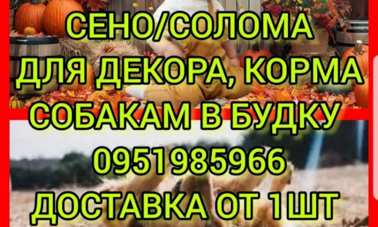 Собакам в вольер сено в тюках, солома в мешках. Доставка от одной штуки - фото № 1