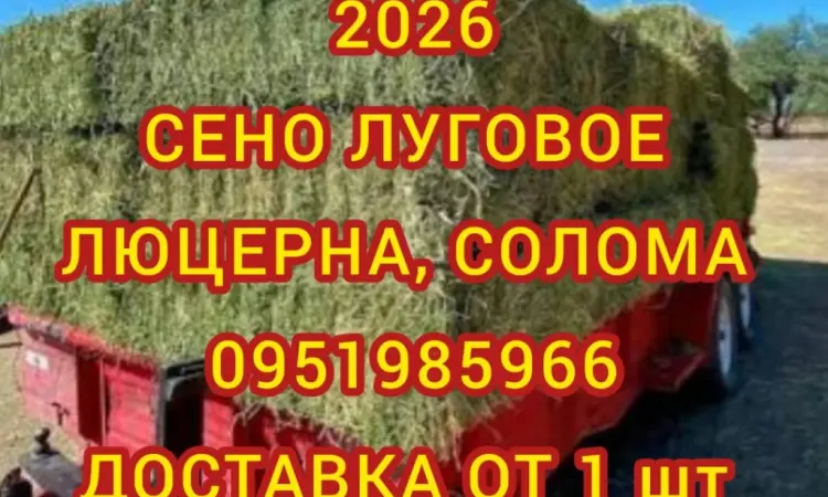 Собакам в вольєр сіно в тюках, солома в мішках. Доставка від однієї штуки - фото № 1
